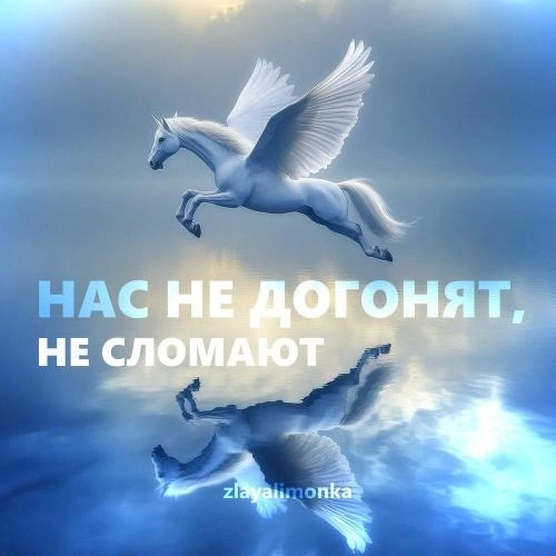 Нас не догонят, не сломают