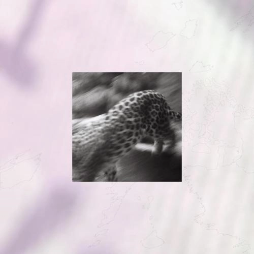 Generation Gap (feat. Inland)