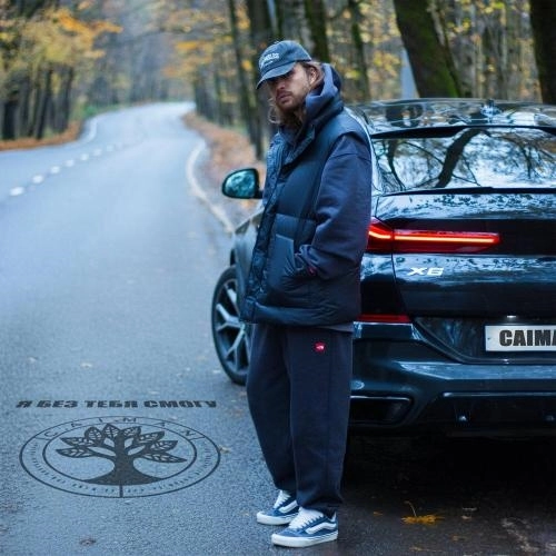 Я без тебя смогу