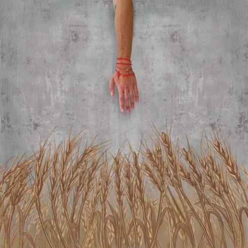 Слезами своими