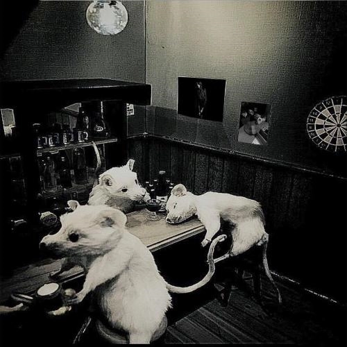 не чувствуя боли (Prod.by Senny Xarax)