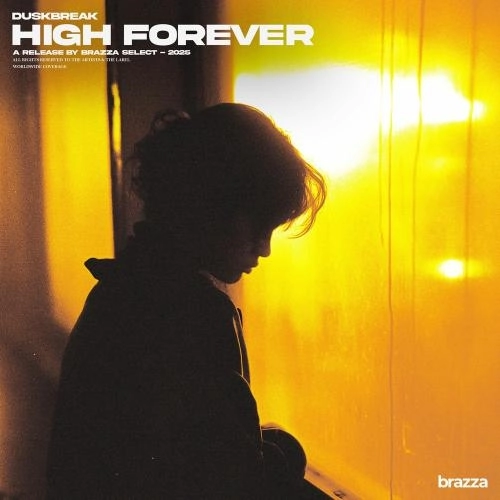 High Forever (Extended Mix)