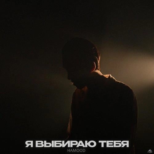 Я выбираю тебя