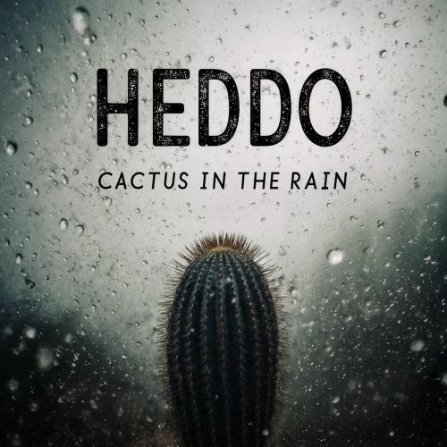 Cactus In The Rain