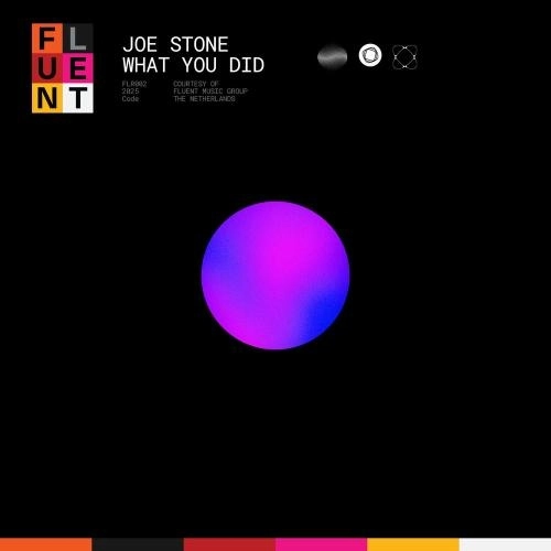 What You Did (Extended Mix)