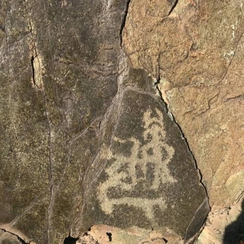 Утренний свет