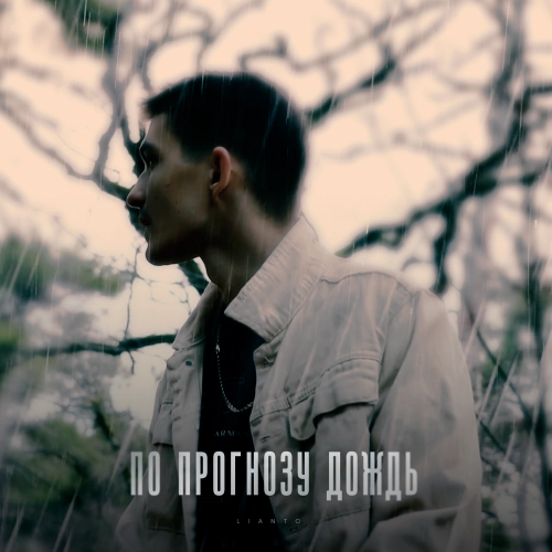 По прогнозу дождь