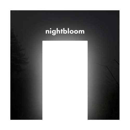 solarsonic (alpha 13Hz)