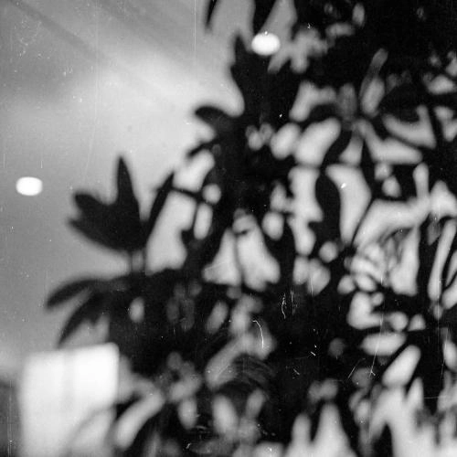 Sabotage (Victoria Mussi Remix)