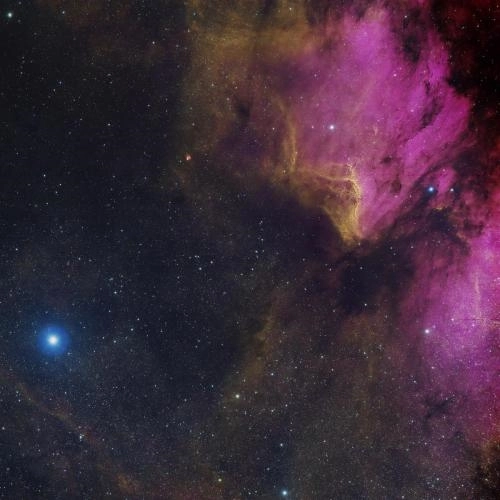 A New Reality Awakens