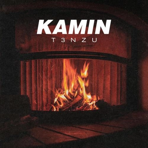 Kamin