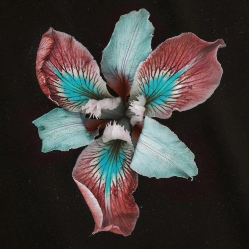 Eleuthera (Catching Flies Remix)