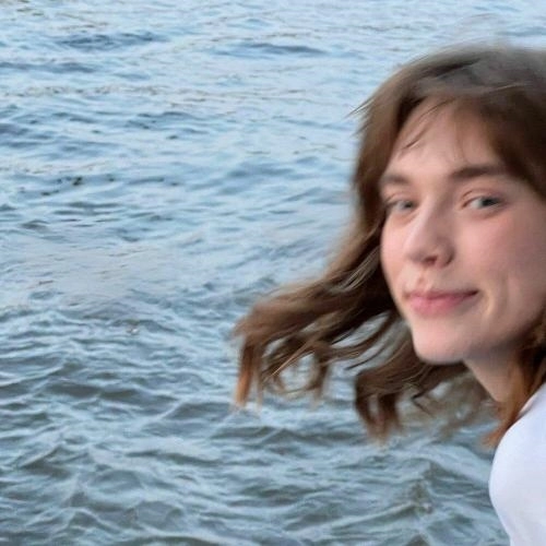 Дорогой дневник.․