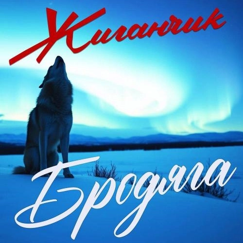 Ночная бабочка