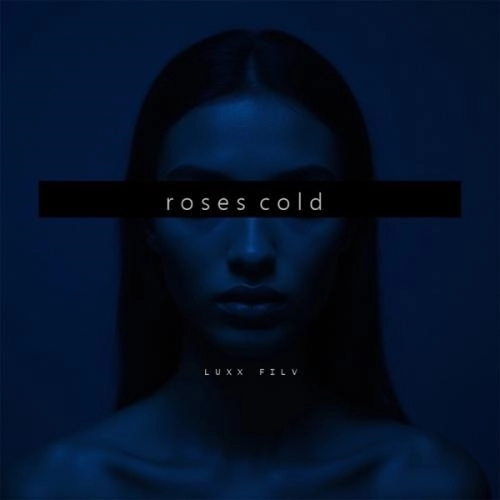 Roses Cold