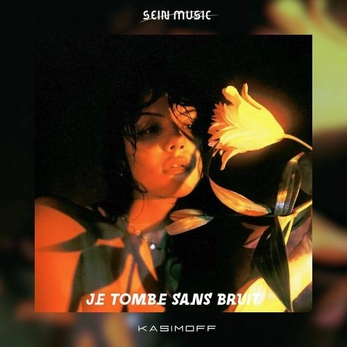 Je Tombe Sans Bruit