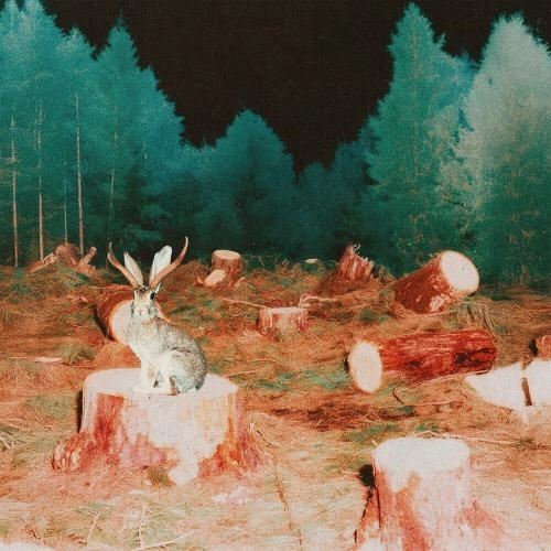 в моей голове