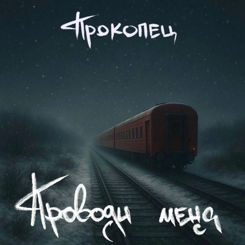 Проводи меня