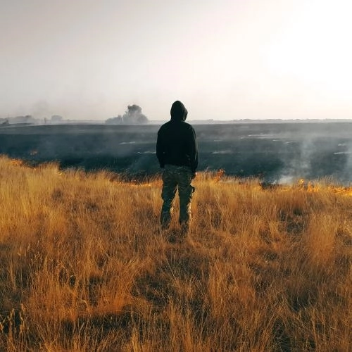 Пока мир горит