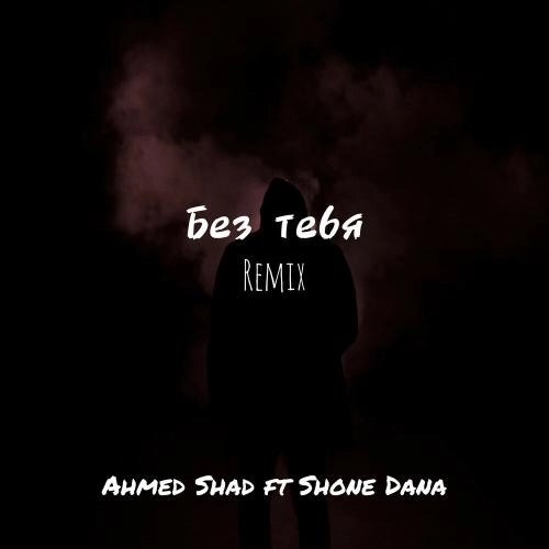 Без тебя (Remix)