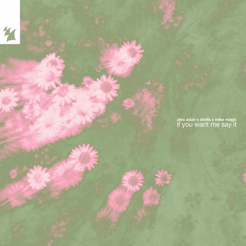 If You Want Me Say It