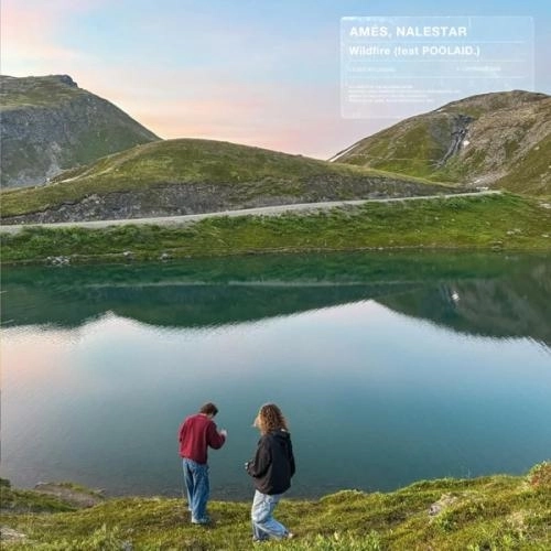 Wildfire (feat. POOLAID.)