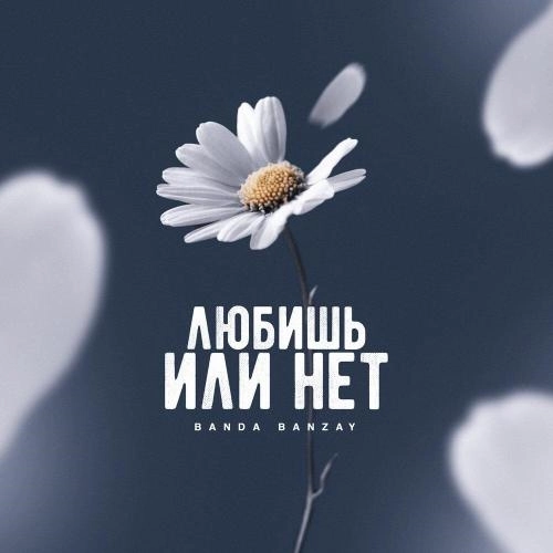 Любишь или нет