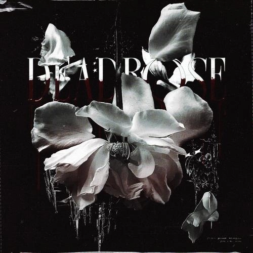 deadrose