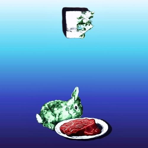 Волосатая звезда