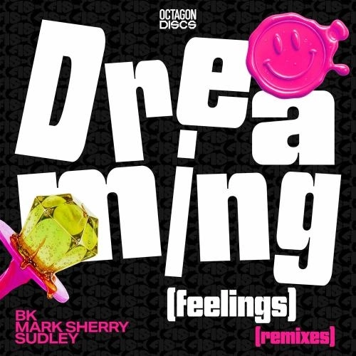 Dreaming (Feelings) (Bk Remix)