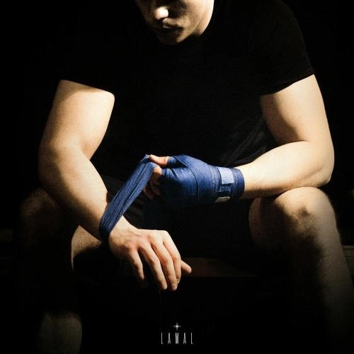 Пара кулаков