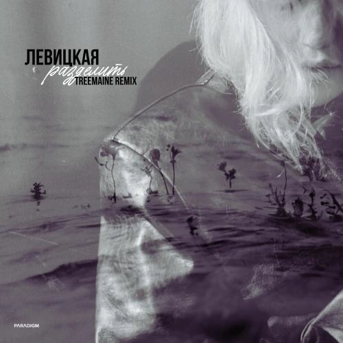 Разделить (TREEMAINE Remix)
