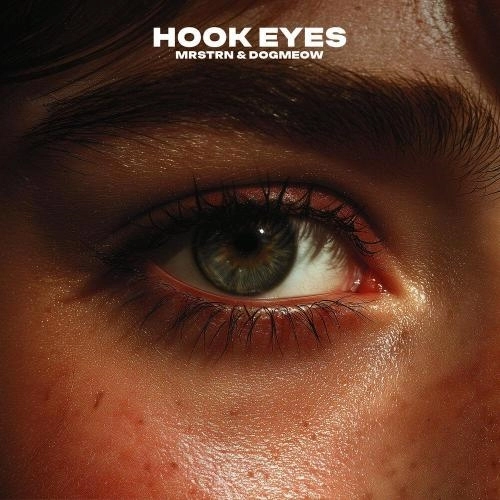 Hook Eyes