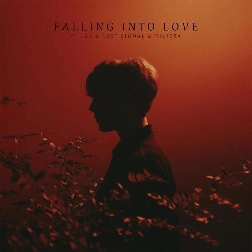 Falling Into Love