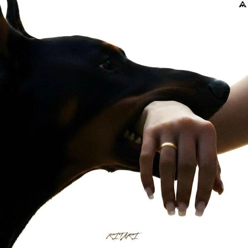 Зять не нужен