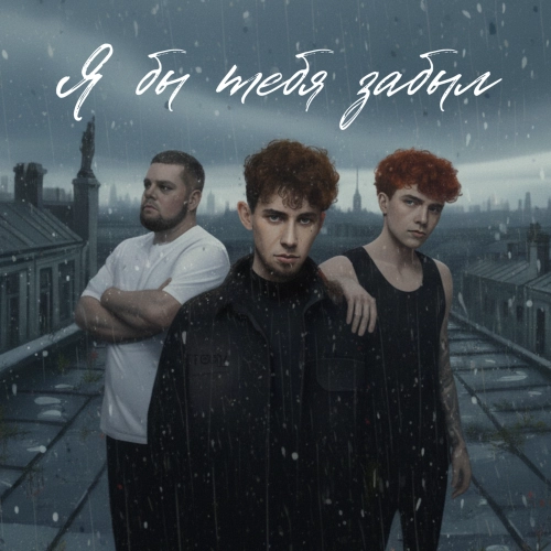 Я бы тебя забыл