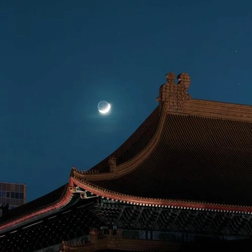 Do You Do This Often