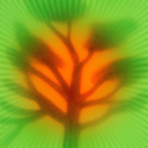 Always Open (Falle's Roots) (Photay Remix)