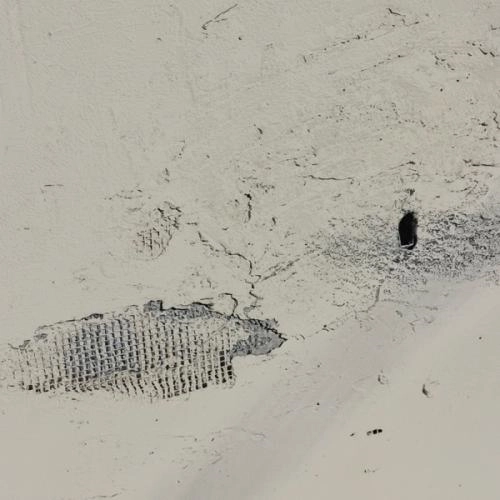 песнь погребённого